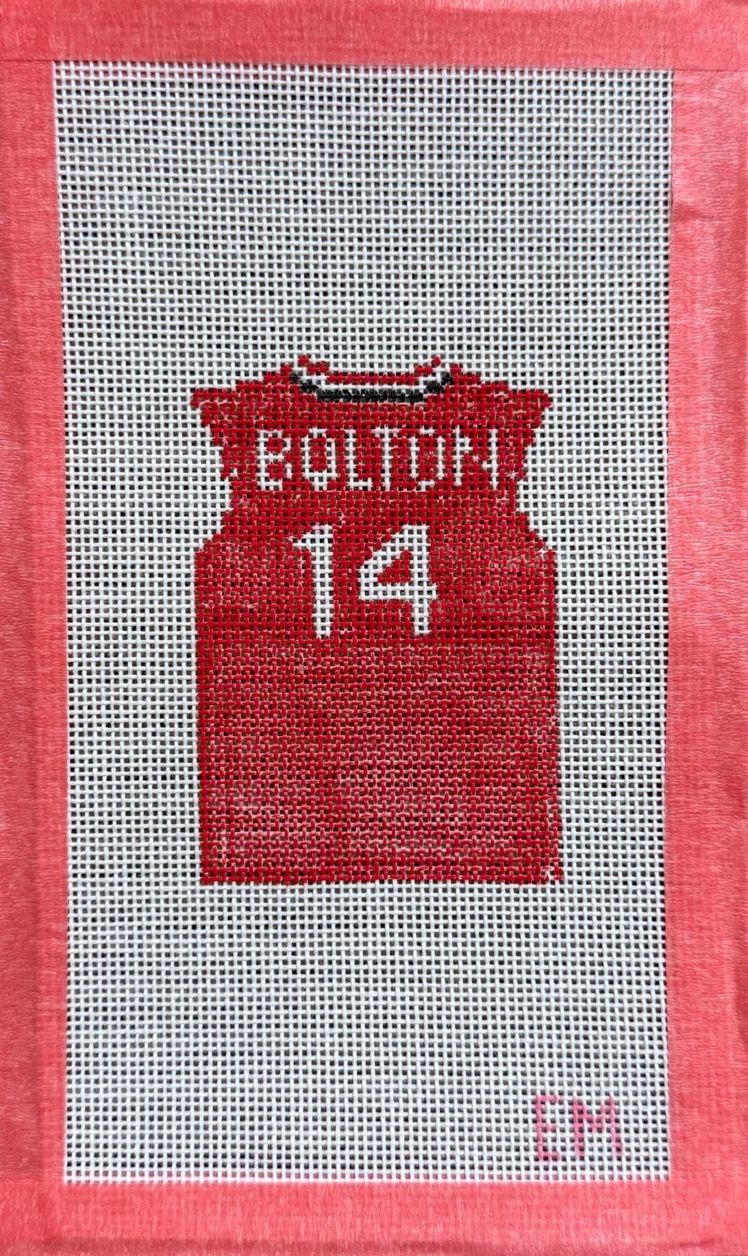 Troy Bolton, HSM canvas 18 mesh Needlepoint Canvas
