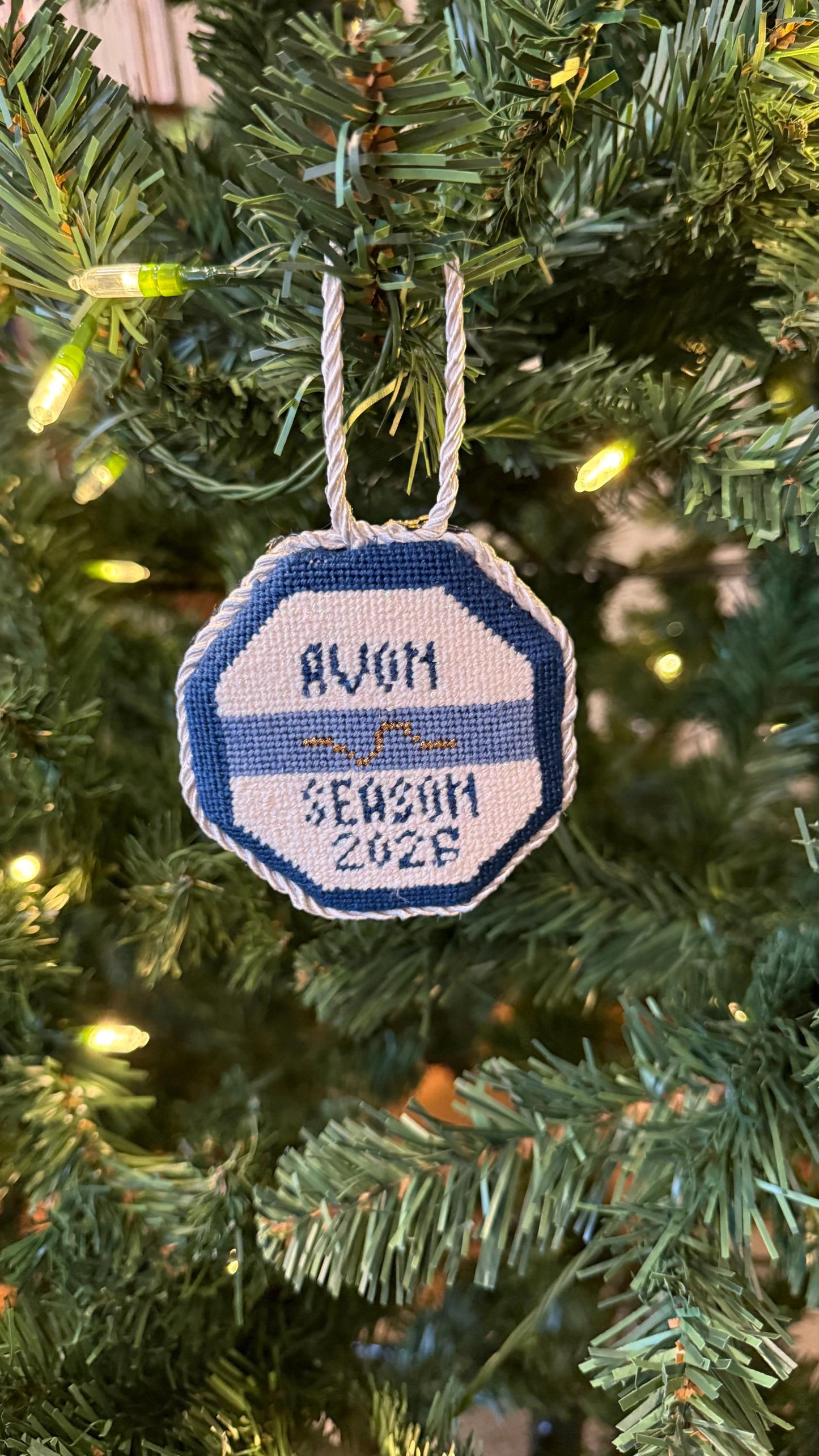 Beach Badge 18 mesh Needlepoint Canvas